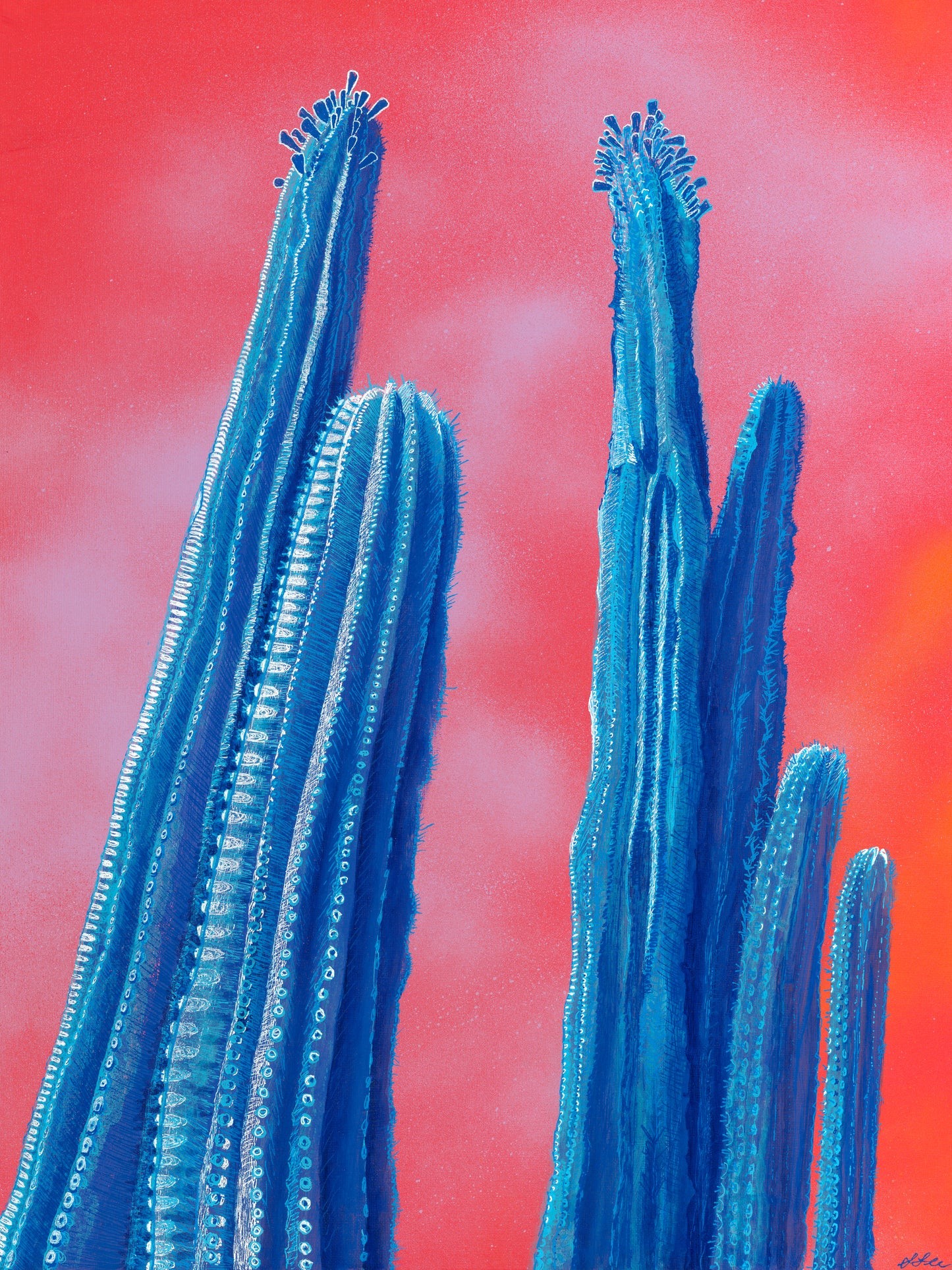 Blue Cactus at Sunset Art Print