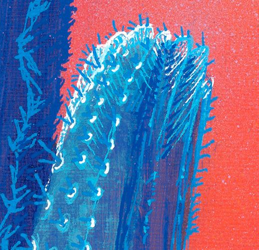 Blue Cactus at Sunset Art Print